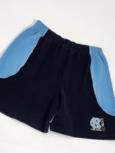 Vintage 2000s ANDI UNC Tarheels Basketball Shorts Sz. XL
