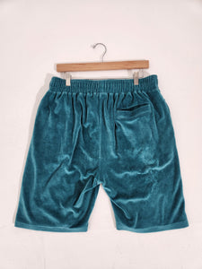 STUSSY Velour Blue/Green Drawstring Shorts Sz. L