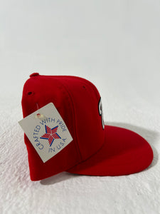 Vintage DS Washington Nationals ROMAN PRO Fitted Hat