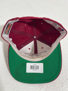 Vintage 1990s San Francisco 49ers Sports Specialties Snapback Hat