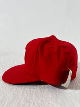 Vintage DS Washington Nationals ROMAN PRO Fitted Hat