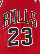 Michael Jordan Reversbile Champion Jersey Sz XL