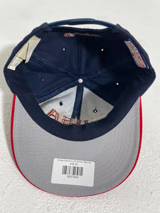 Vintage Champion USA Olympic Team Hat