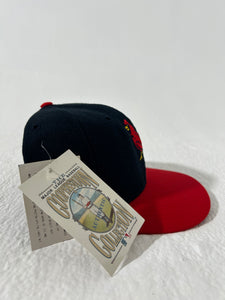 Vintage DS St. Louis Cardinals ROMAN PRO Fitted Hat