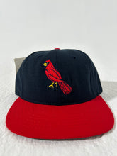 Vintage DS St. Louis Cardinals ROMAN PRO Fitted Hat