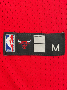 Chicago Bulls Michael Jordan #23 NBA Jersey Sz. M