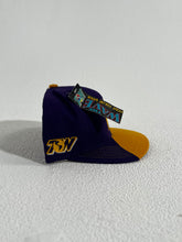 Vintage University of Washington Wave Snapback Hat