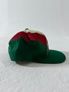 Seattle Supersonics Splash M&N snapback hat