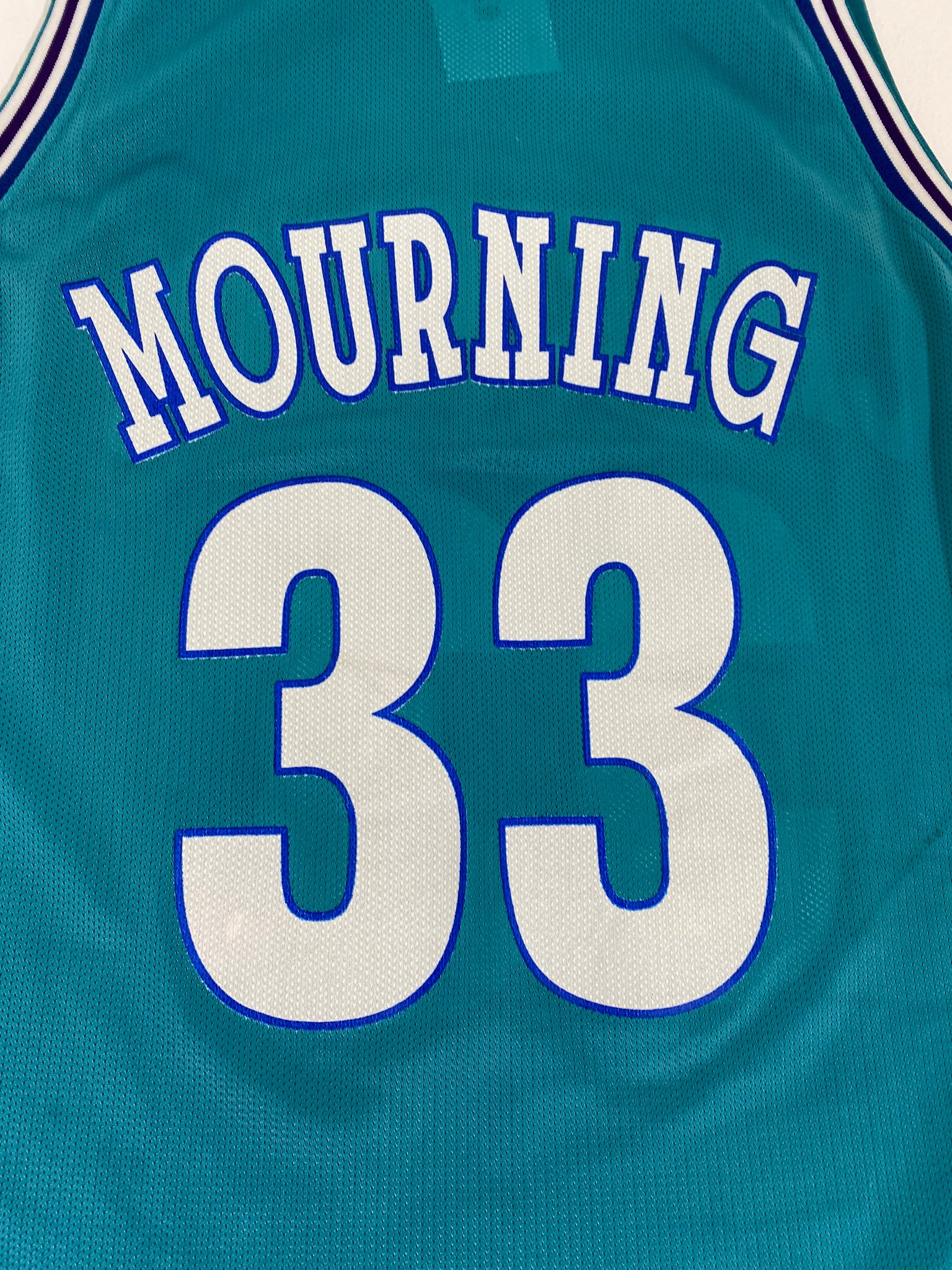 Vintage 90s Alonzo Mourning Charlotte Hornets Champion Jersey Sz