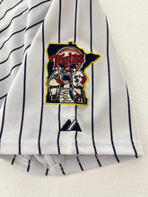 Vintage Minnesota Twins "Joe Mauer" Season Stadium 2010 Stitched Jersey Sz. L